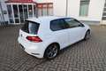 Volkswagen Golf R-Line 150PS TSI DSG - ACC/Navi/Pano/AID/1.Hd/8... Blanc - thumbnail 5
