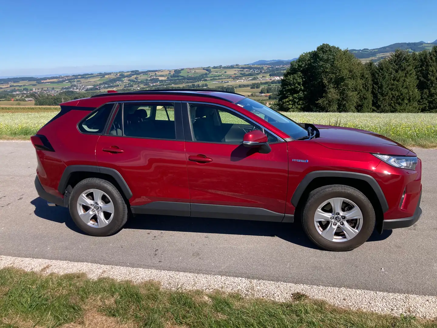 Toyota RAV 4 Hybrid 2,5 Act.2WD Autom. *AHK*Winterpaket* Rot - 2