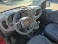 Fiat Panda 1.0 FireFly S&S Hybrid Rosso - thumbnail 12