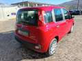 Fiat Panda 1.0 FireFly S&S Hybrid Rosso - thumbnail 5