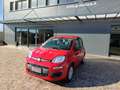 Fiat Panda 1.0 FireFly S&S Hybrid Rosso - thumbnail 1