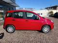 Fiat Panda 1.0 FireFly S&S Hybrid Rosso - thumbnail 4