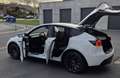 Tesla Model Y PERFORMANCE Blanc - thumbnail 7