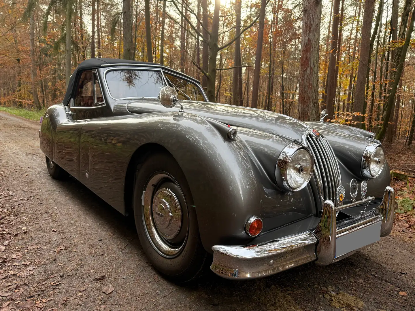 Jaguar XK XK 140 DHC Grey - 1
