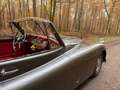 Jaguar XK XK 140 DHC Grey - thumbnail 13