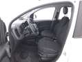 Fiat Panda Hybrid Cross 1.0 Mild Hybrid 69CV Weiß - thumbnail 10