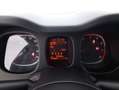 Fiat Panda Hybrid Cross 1.0 Mild Hybrid 69CV Weiß - thumbnail 12