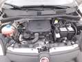 Fiat Panda Hybrid Cross 1.0 Mild Hybrid 69CV Weiß - thumbnail 13