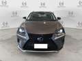 Lexus NX 300 NX Hybrid 4WD Premium Grau - thumbnail 3