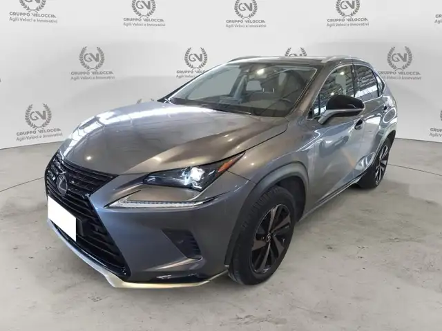 Lexus NX 300 NX Hybrid 4WD Premium