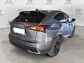 Lexus NX 300 NX Hybrid 4WD Premium Grau - thumbnail 12