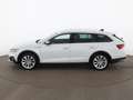 Skoda Octavia Combi 2.0 TDI 4x4 Scout Aut MATRIX RADAR Weiß - thumbnail 6