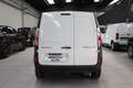 Renault Kangoo Z.E. 4p. Express- FULL ELETRTRIC White - thumbnail 5