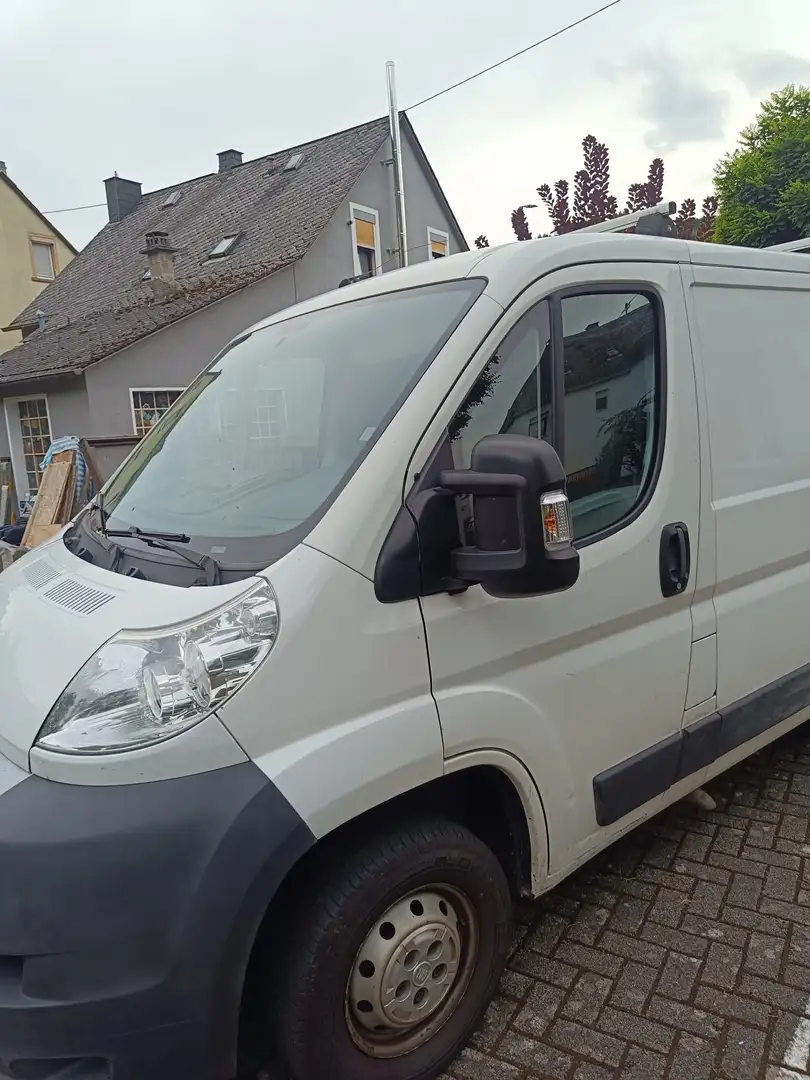 Fiat Ducato Ducato L1H1 250.SL1.0 Weiß - 1
