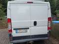 Fiat Ducato Ducato L1H1 250.SL1.0 Weiß - thumbnail 5