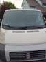 Fiat Ducato Ducato L1H1 250.SL1.0 Weiß - thumbnail 7