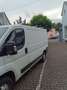 Fiat Ducato Ducato L1H1 250.SL1.0 Weiß - thumbnail 6