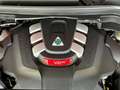 Alfa Romeo Stelvio 2.9 Bi-Turbo V6 510 CV AT8 Quadr Rojo - thumbnail 11