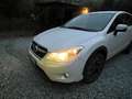 Subaru XV 1.6i Free (comfort) 5mt Bianco - thumbnail 2