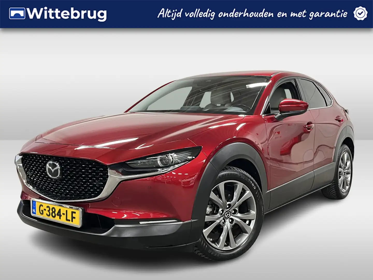 Mazda CX-30 2.0 e-SkyActiv-X M Hybrid Luxury | Trekhaak | Stoe Rot - 1