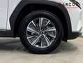 Hyundai TUCSON 1.6 CRDI Maxx 4x2 Blanc - thumbnail 12