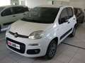 Fiat Panda 1.3 MJet 4x4 Blanc - thumbnail 1