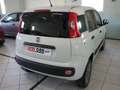 Fiat Panda 1.3 MJet 4x4 Blanc - thumbnail 4