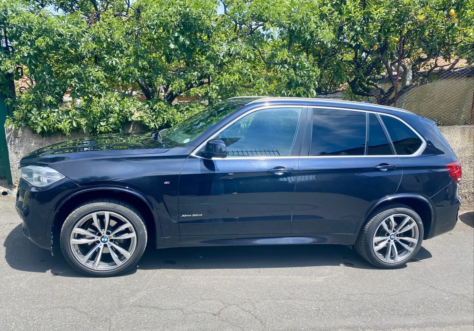 BMW X5 X5 Xdrive30d M Sport 258cv auto Blu/Azzurro - 1