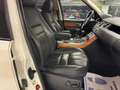 Land Rover Range Rover Sport 3.0TDV6 HSE Aut. Blanco - thumbnail 18