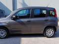 Fiat New Panda 1.2 70cv Grigio - thumbnail 3