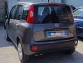 Fiat New Panda 1.2 70cv Grigio - thumbnail 2