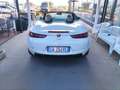 Alfa Romeo Spider Spider 2.4 jdm 210cv Bianco - thumbnail 3