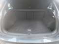 Volkswagen Tiguan Sky TSI ACT OPF Grau - thumbnail 32