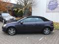 Volkswagen Golf Cabriolet 1.2TSi BMT KLIMAAUTOM PARKPILOT SHZ Blau - thumbnail 18