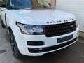 Land Rover Range Rover 4.4 SDV8 Autobiography Auto. Wit - thumbnail 27