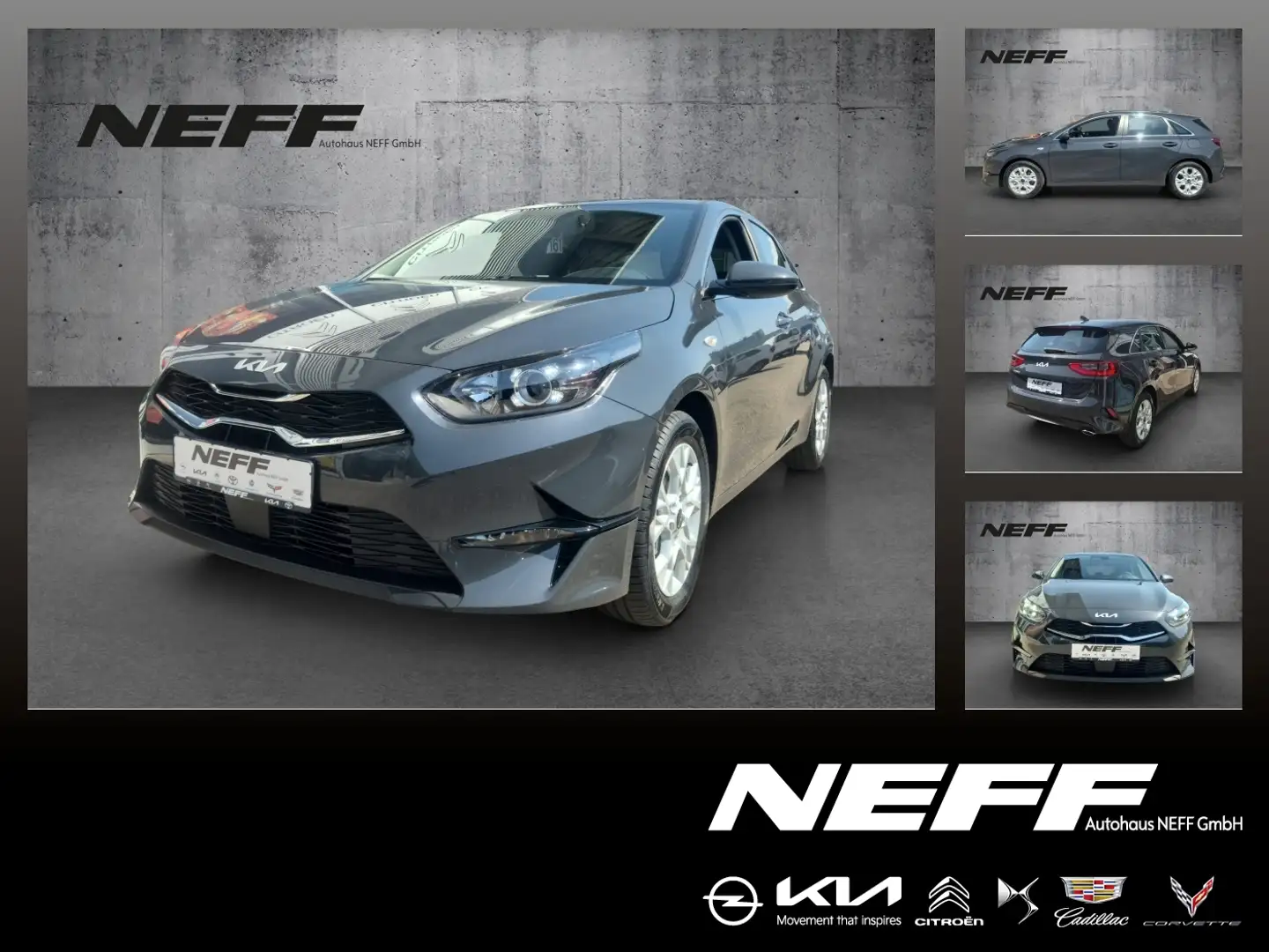 Kia Ceed / cee'd Ceed 1.5 T-GDI Vision ACC Navi FLA SpurH LM PDC Grau - 1