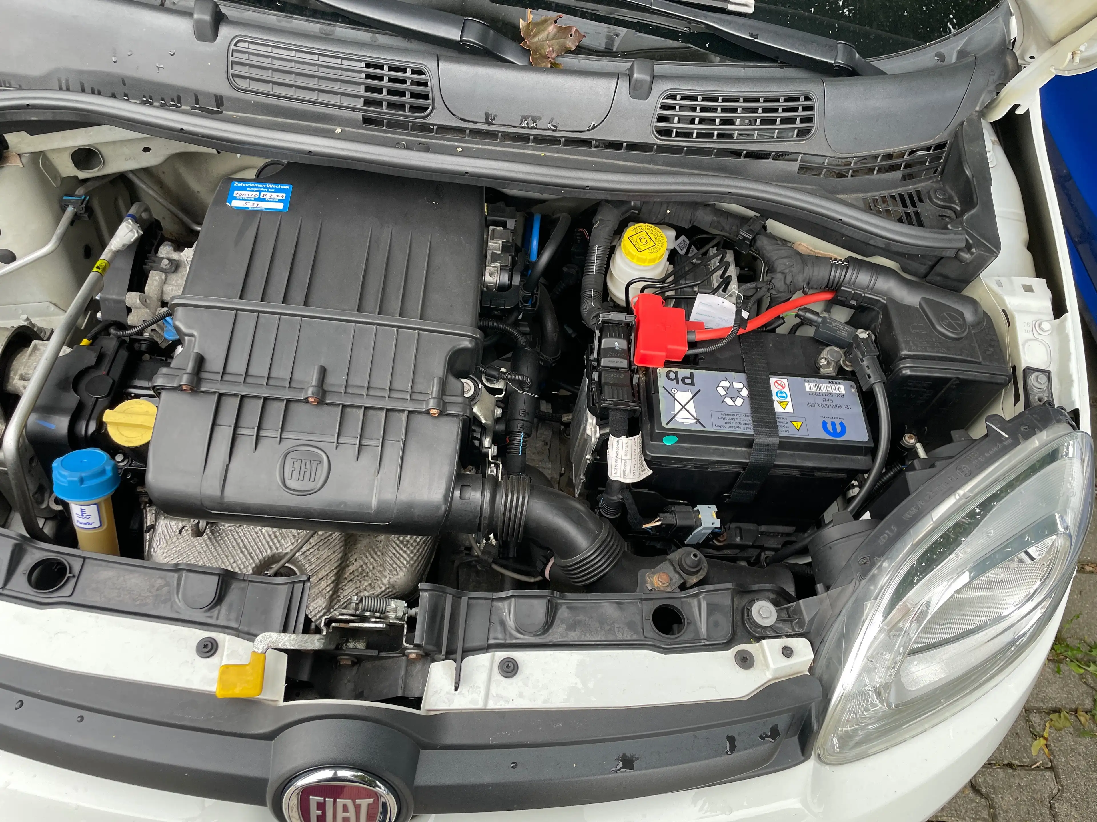 Fiat Panda Panda 1.2 Start — photo 11
