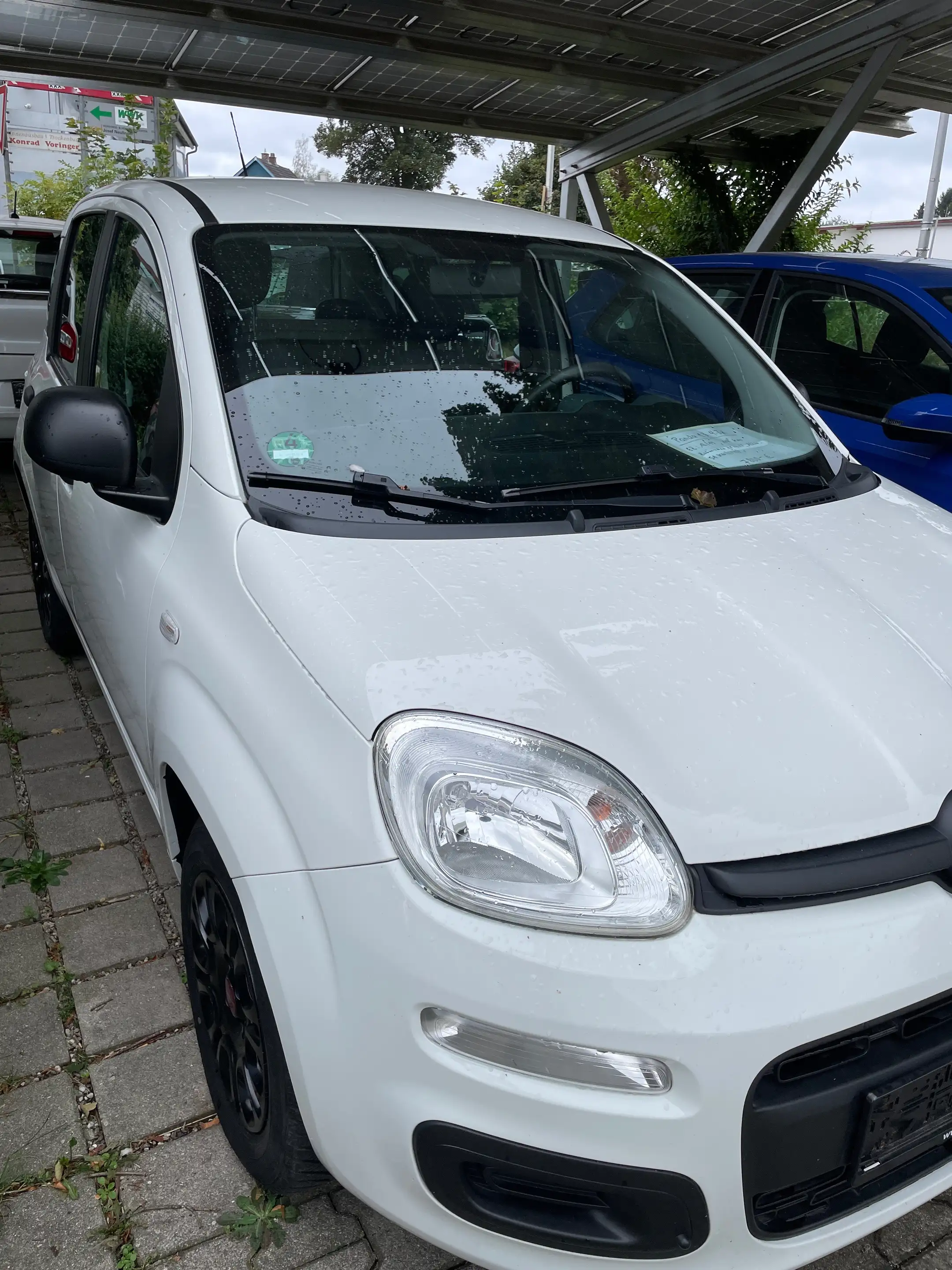 Fiat Panda Panda 1.2 Start