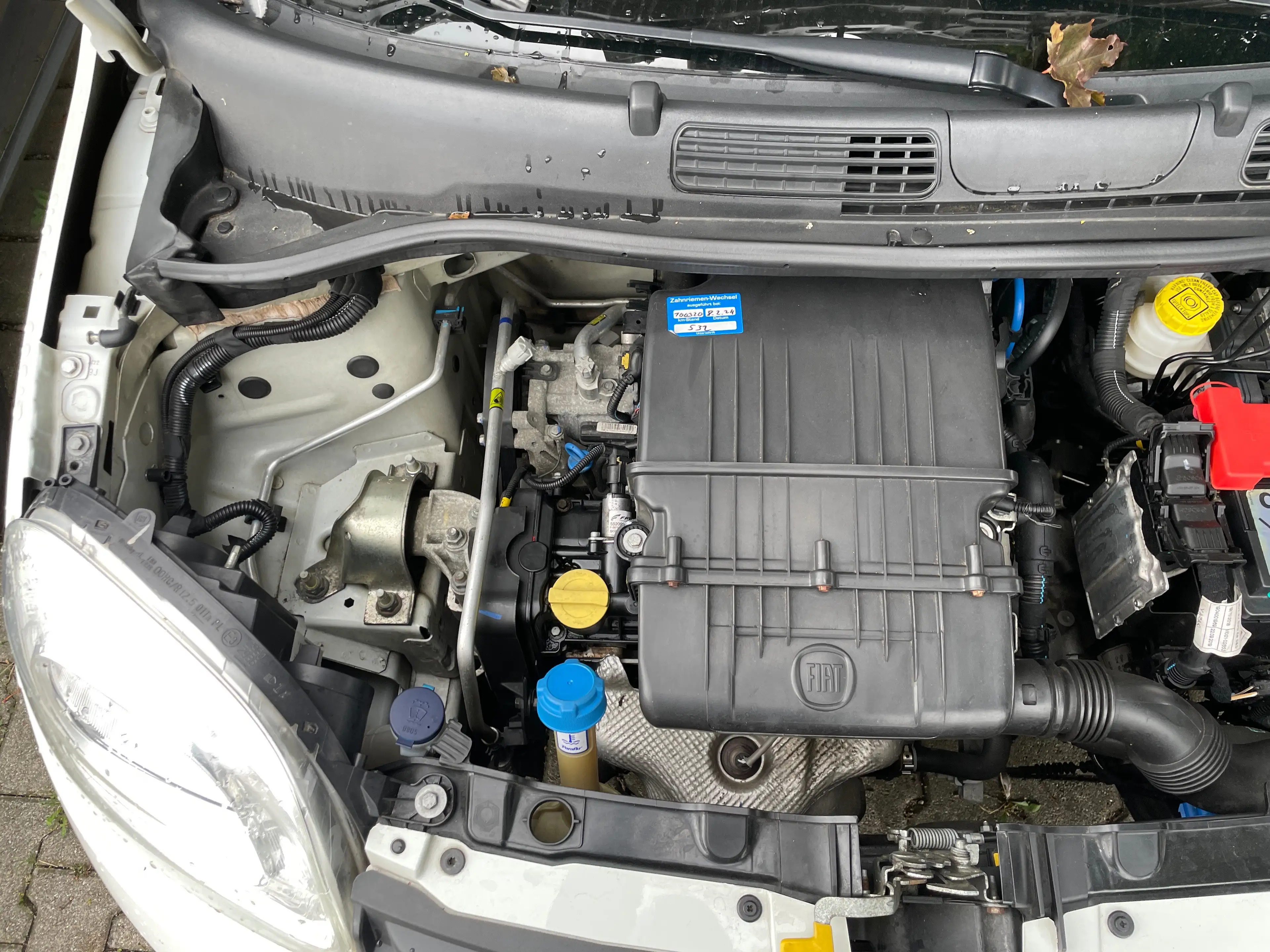 Fiat Panda Panda 1.2 Start — photo 10