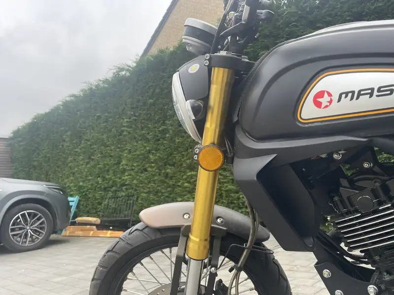 Mash Falcone - foto 6