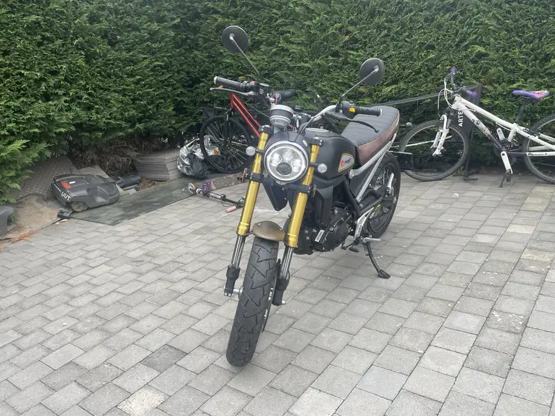 Mash Falcone - foto 3