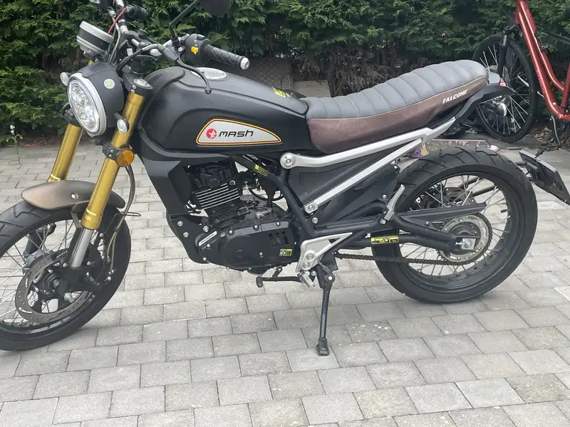 Mash Falcone - foto 4