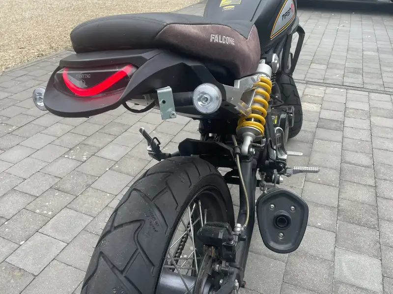 Mash Falcone - foto 5