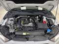Audi A1 CityCarver 30 1.0 tfsi Admired 110cv Bianco - thumbnail 15