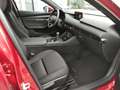 Mazda 3 Exclusive inkl Leasing-Bonus 360° BOSE Matrix Frei Red - thumbnail 11