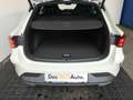 CUPRA Leon 1.5 eTSI DSG 150 PS Grau - thumbnail 21