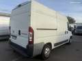 Fiat Ducato FG 3.3 LH2 2.3 MULTIJET 16V 120CH PACK Blanc - thumbnail 2