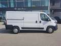 Fiat Ducato FURGONE OFF.MOBILE 35 PM TB 2.3 MJT  130 CV  EURO6 Blanco - thumbnail 6