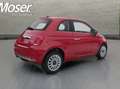 Fiat 500 1.0 Dolcevita 70CV tetto panoramico vetro Rouge - thumbnail 5