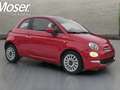 Fiat 500 1.0 Dolcevita 70CV tetto panoramico vetro Rouge - thumbnail 7